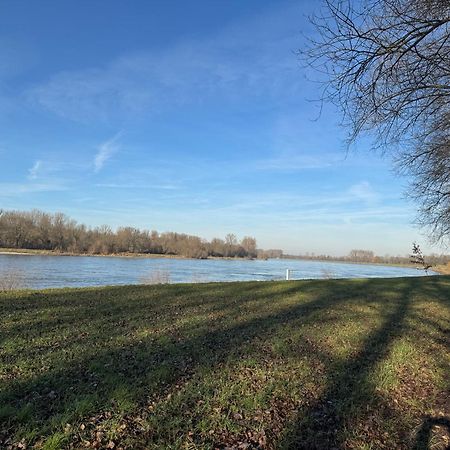 Ferienhaus Hoffmann Am Rheinbogen Altlussheim Екстериор снимка