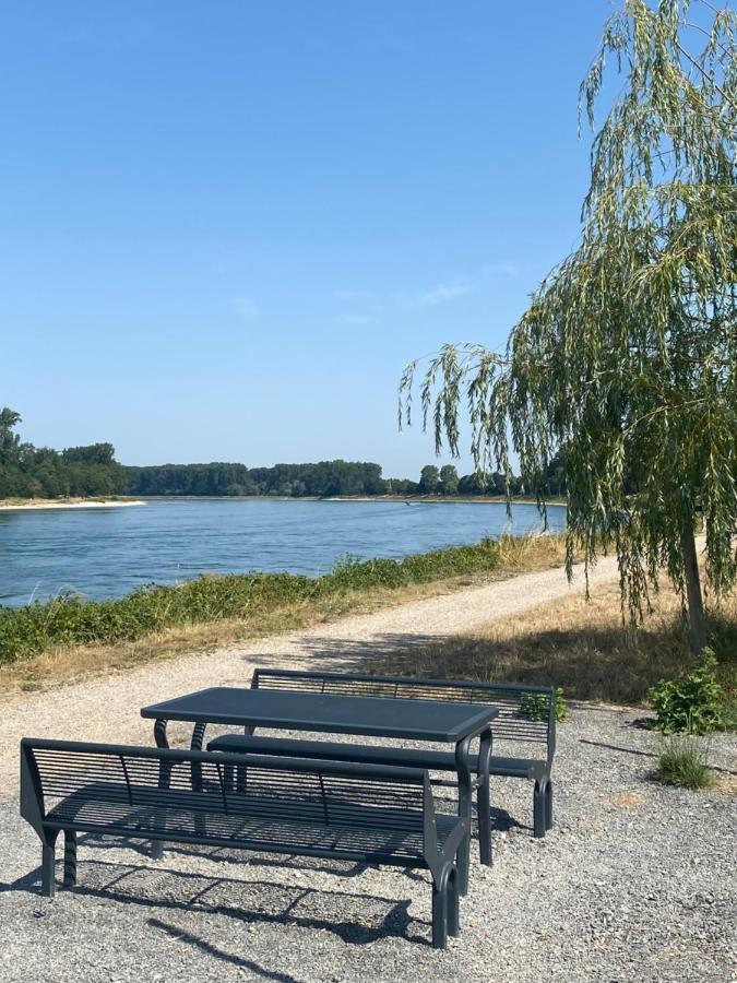 Ferienhaus Hoffmann Am Rheinbogen Altlussheim Екстериор снимка