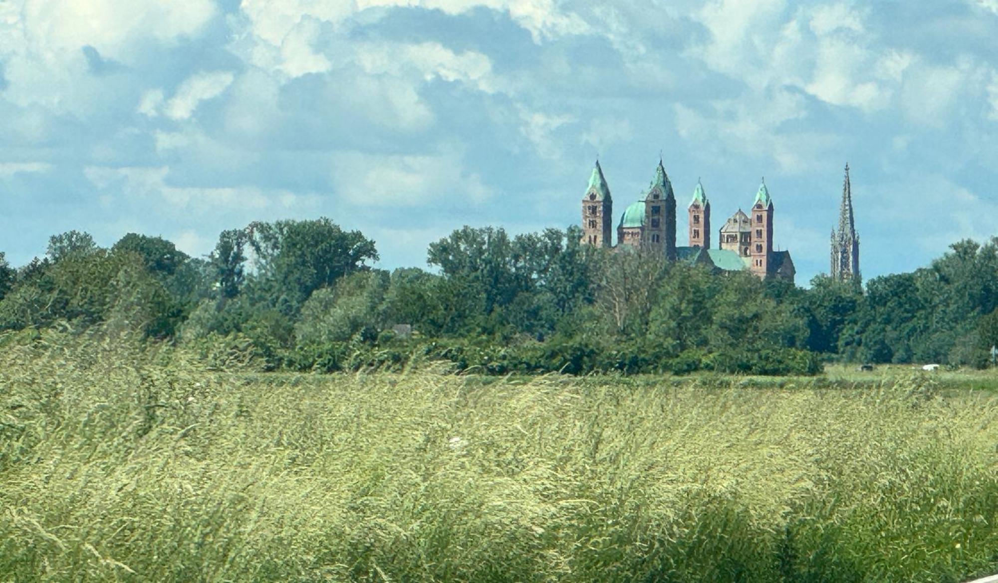 Ferienhaus Hoffmann Am Rheinbogen Altlussheim Екстериор снимка